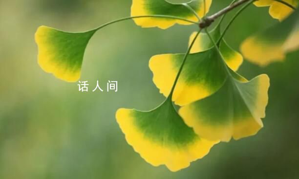 立秋不意味著入秋 立秋只預(yù)示著季節(jié)轉(zhuǎn)換的開始