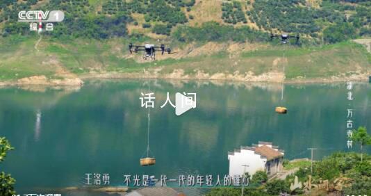湖北一村莊無(wú)人機(jī)運(yùn)橙子好壯觀 湖北這個(gè)村有運(yùn)橙小火車