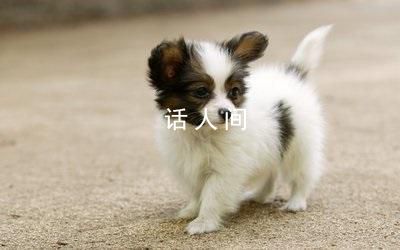 萌寵治愈季 今日份治愈請查收家有萌寵