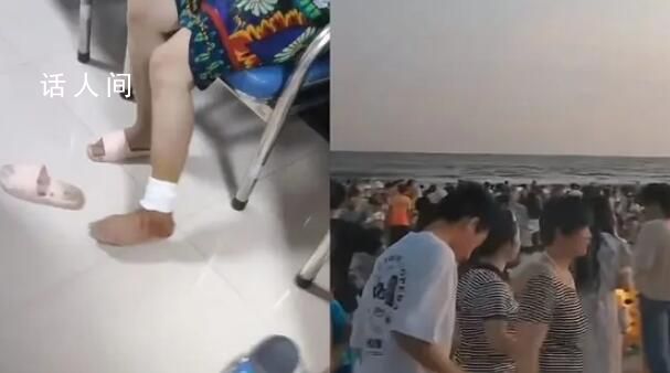 專家稱北海咬傷多人魚類不是鯊魚 引起網(wǎng)友廣泛關(guān)注