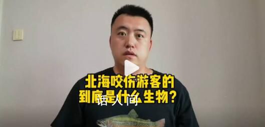 科普博主稱北海傷人可能是公牛真鯊 公牛鯊會主動攻擊人嗎