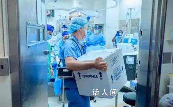 豬腎移植人體后成功撐過1個月 創造了基因編輯豬腎臟在人體內工作的新紀錄