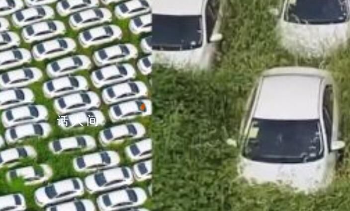 杭州又現汽車墳場?街辦回應