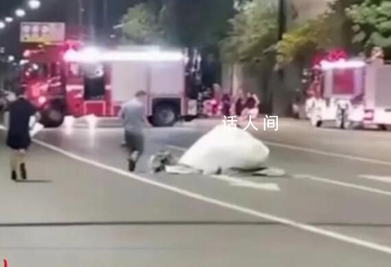 洛陽白色不物體系農用氯化銨 并非危險物品