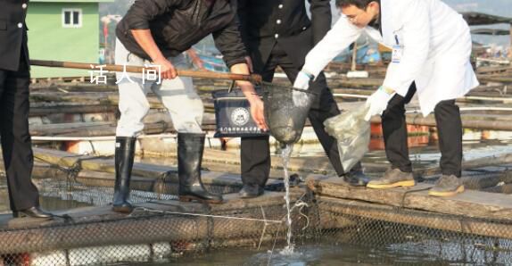 官方:加強水產品質量安全監管