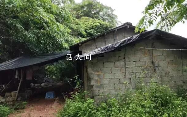 女子稱被性侵未立案后自殺 警方復查