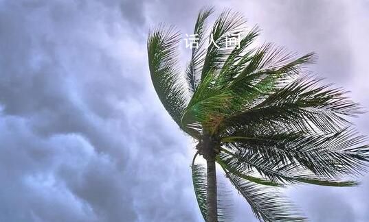 直擊超強(qiáng)臺(tái)風(fēng)蘇拉 廣東福建沿海將有狂風(fēng)暴雨