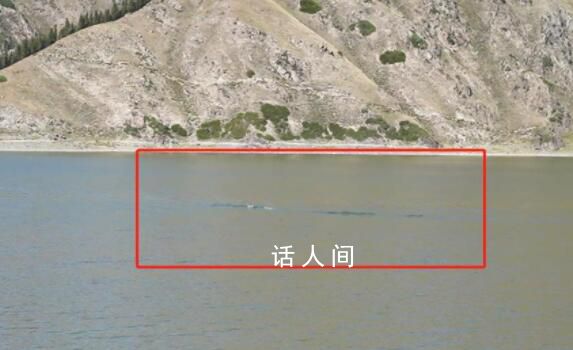天山天池現銀色水怪?景區:無法判斷