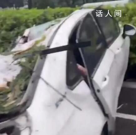 臺風吹倒大樹砸中汽車致1死2傷 風雨影響仍將持續