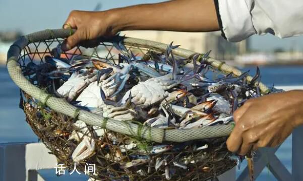 山東:開海“第一鮮”上岸被搶購