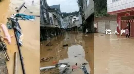 臺風(fēng)致廣西強降雨 小豬在水中漂流