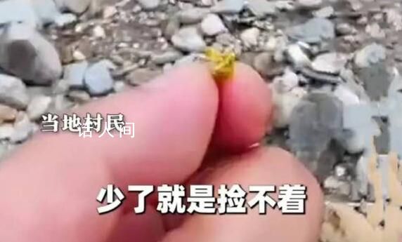 洪水過后出現碎金 村民河道撈金