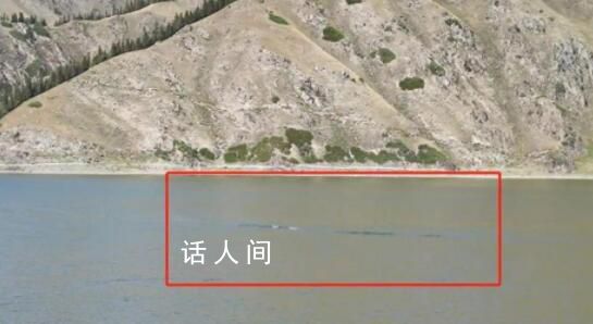 天山天池拍到水怪?官方展開調查