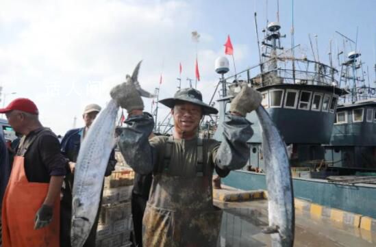 新疆“海鮮”大豐收了 新疆歡迎大家來吃海鮮