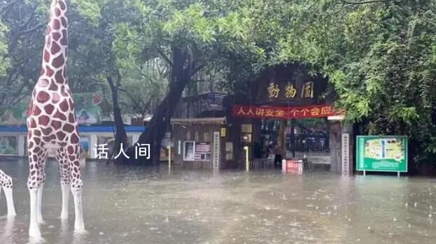 佛山動物園辟謠暴雨致動物出逃 目前園區正在排水