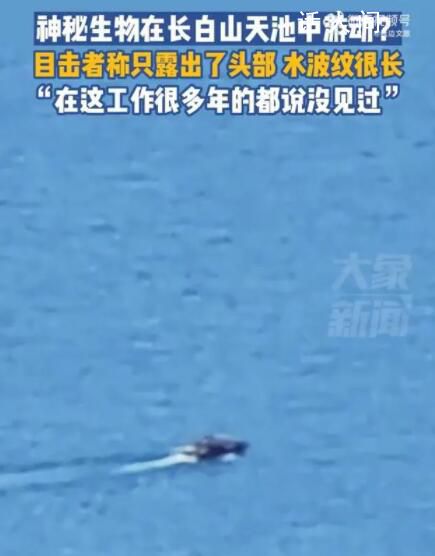 目擊者回應長白山天池現神秘生物 在這工作很多年的都說沒見過