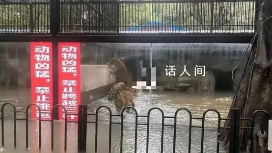 多條廣東暴雨相關傳言被辟謠 不要輕信