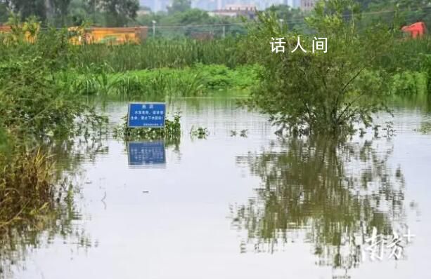 養(yǎng)殖場(chǎng)疑多條鱷魚出逃 民兵稱將擊斃