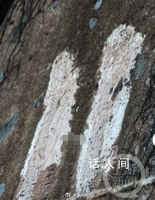 青島有重要史料價(jià)值石刻遭水泥涂抹 后續(xù)也將聯(lián)合多部門對(duì)其加強(qiáng)看護(hù)