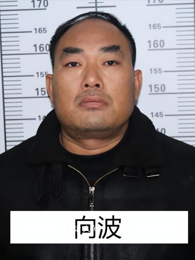 “黑老大”曾是校長 公安出手端了 向黎個人資料簡介