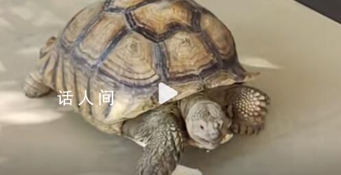 群眾撿66斤“大寶貝”交給派出所 民警一見興奮大喊同事圍觀