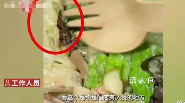 顧客在星巴克沙拉里吃出蟲 回應(yīng)：食物由第三方食品廠制作