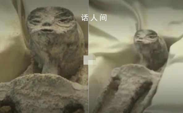 英國蛋糕師復刻墨西哥外星人 網友：太像了