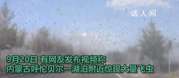 呼倫貝爾一地現大量飛蟲 全國還有多起不同蟲類的肆虐事件