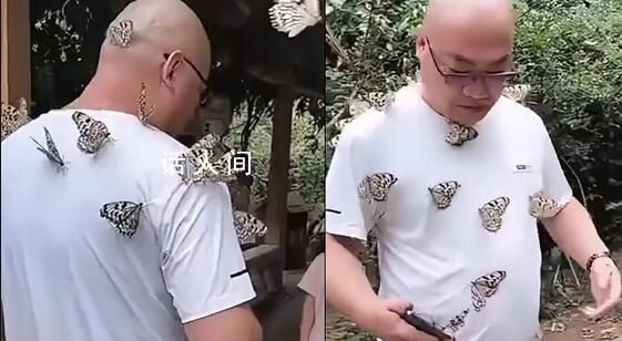 男版香妃 游客引來蝴蝶落滿身