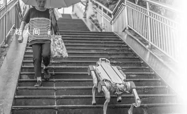 法媒:機器人“接管”杭州亞運會