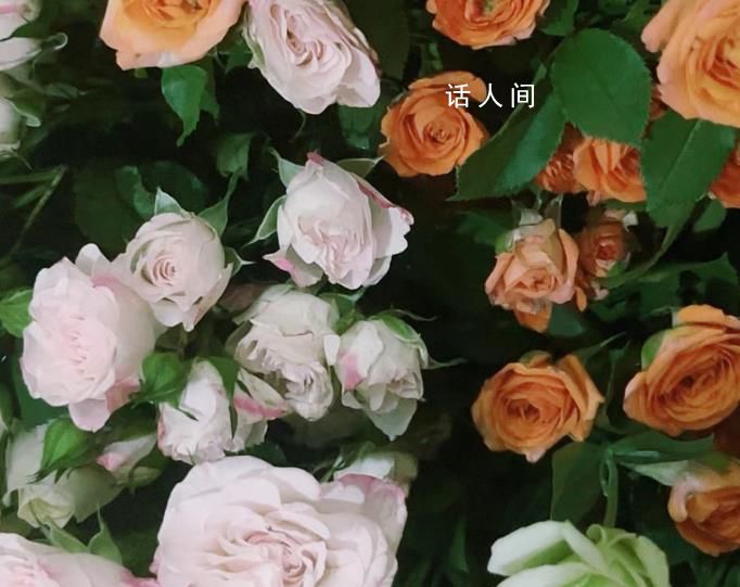 國(guó)慶節(jié)快樂(lè) 祝愿祖國(guó)的最佳句子有哪些