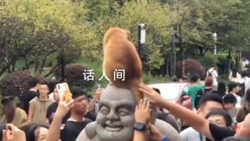 發現了雞鳴寺的頂流 善喜因長相可愛十分受歡迎