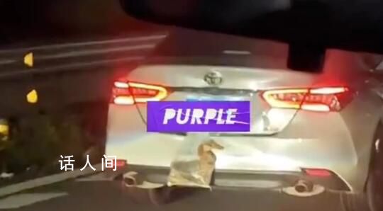 返程的后備箱:有人把雞鴨掛車上