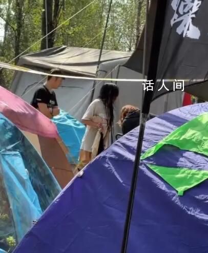 南陽音樂節物品失竊引“地域攻擊” 警方正在全力偵破當中