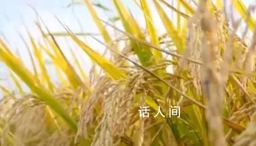 沃野千里展新卷 分享收獲的喜悅