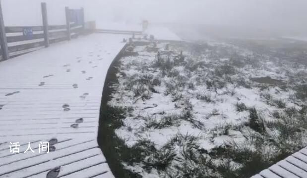 北京延慶下雪了 仿佛披上一層白紗