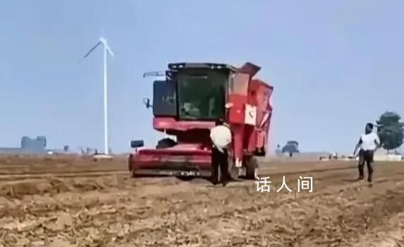 央媒評禁止機(jī)械設(shè)備收花生:瞎指揮