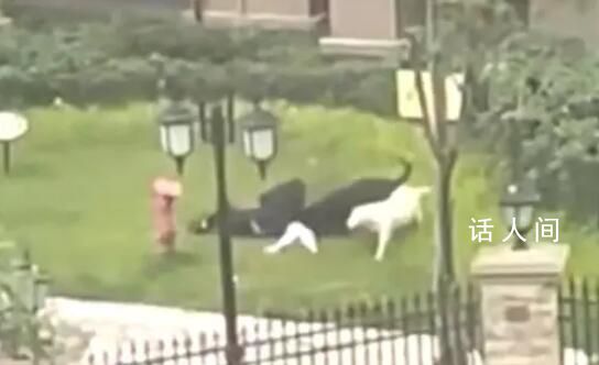 女童母親:要追究物業和狗主人責任