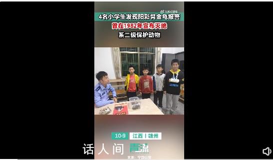 4名小學生發現41年前曾滅絕的甲蟲 陽彩臂金龜是國家二級保護動物嗎