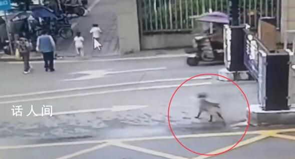 四川又一惡犬追咬2名幼童 被圍觀群眾和物業人員趕跑