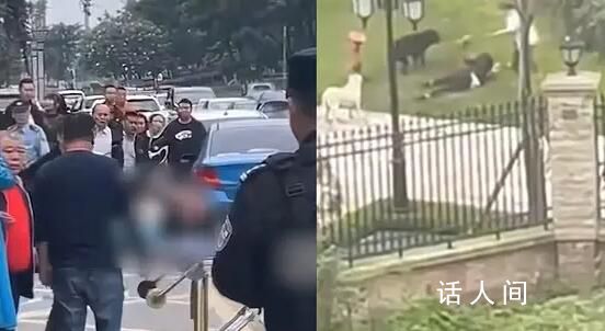大型犬主人被孩子家長砍傷?假的