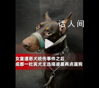 成都一養(yǎng)狗人選擇凌晨2點(diǎn)遛狗 選擇避開(kāi)人群給他人安全感