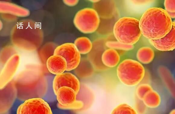 為什么今年支原體傳染嚴(yán)重 多大的孩子容易得