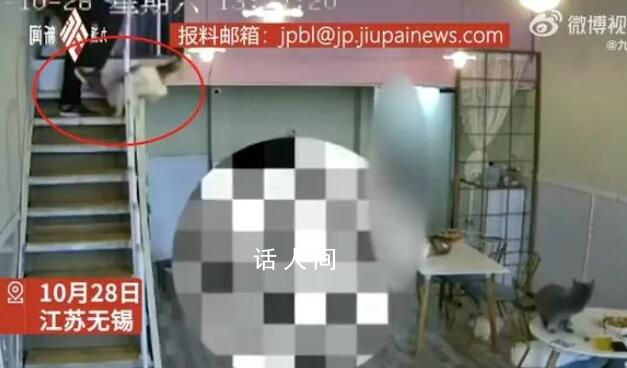 孩子在貓咖被嚇哭男子將貓踹下樓 經檢查貓暫無異常沒有報警