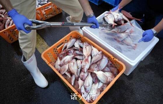 日本:9月對(duì)華水產(chǎn)品出口額減少99%