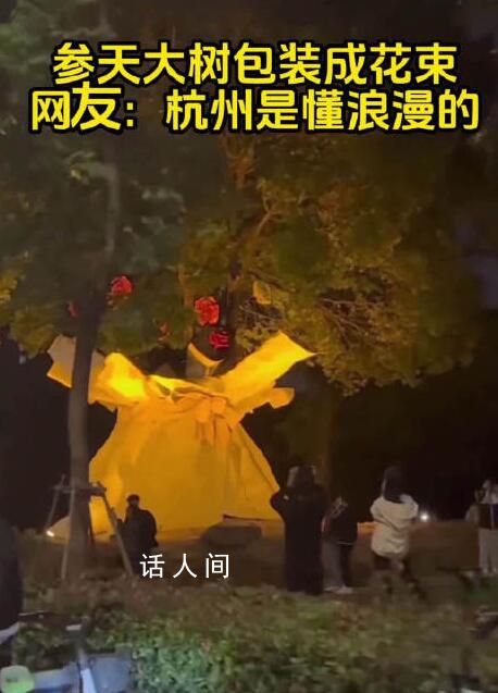 杭州參天大樹被包裝成巨型花束 網友：又被杭州浪漫到了