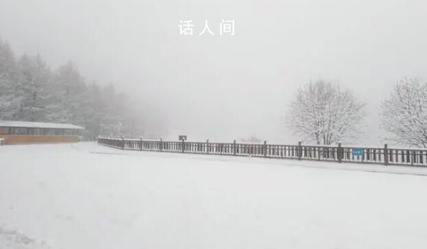 石家莊駝梁云頂下雪了 立冬未至雪花先飄