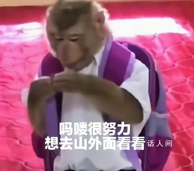 “嗎嘍”占領了年輕人的生活圈 嗎嘍風潮仿佛一夜之間席卷網(wǎng)絡
