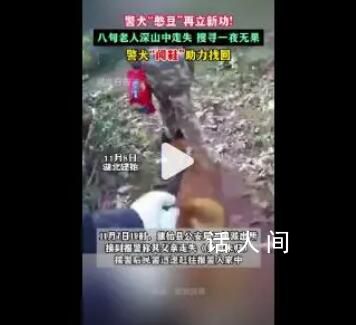老人深山走失30小時被警犬找到 老人精神狀態良好身體并無大礙