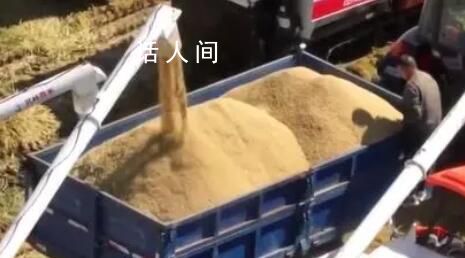 全國秋糧收獲過九成半 譜寫豐收的新畫卷